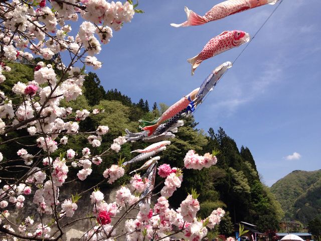 ��i�ł�_�����̗�