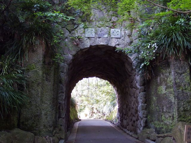 �������g���l���c���N���N���܂����B_�y�ߘa5�N�x����ߘa8�N�x�܂ł�4�N�ԋx�فz���q���w��