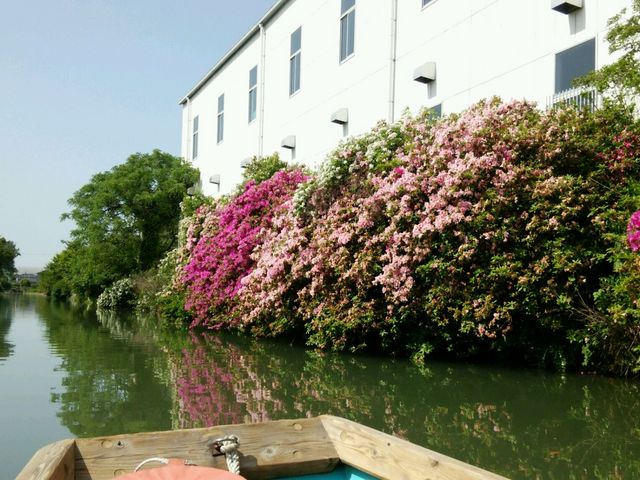 �Ԃ��Y��ł���_����쉺��