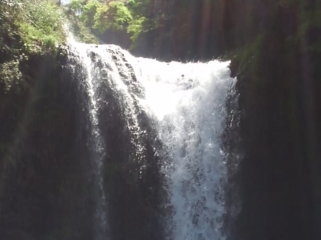 ��l���ᗠ�ɉ��̂��|���ʂ̔��̓A��_�����̑�