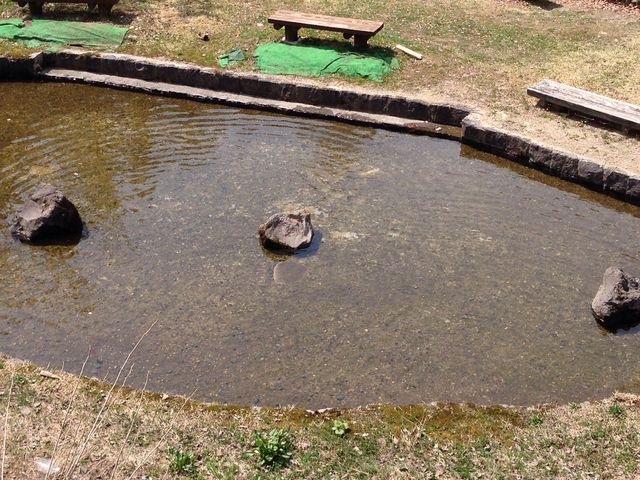 ���O�\��Œ͂ݎ����o���܂�(�����ʓr)_�V���X�ӂꂠ���_��