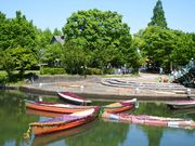 Ȃ܂܂̍cؑ]OEANA[hp[NZ^[̓eʐ^1