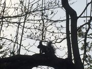 肳̏\쉷ze啽̓eʐ^1