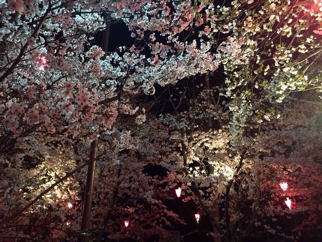 ���������̍�