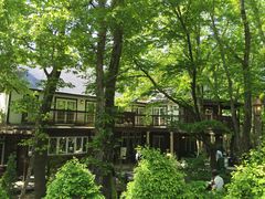 悳̃x[J[JtFEyj[Cւ̓eʐ^1