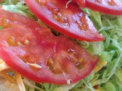 gṼLO^RX {Xւ̓eʐ^1