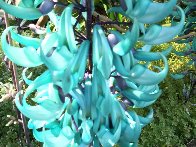 �M��o�i�i���j��