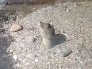 n164����̕P�H�s�������ق̓��e�ʐ^1