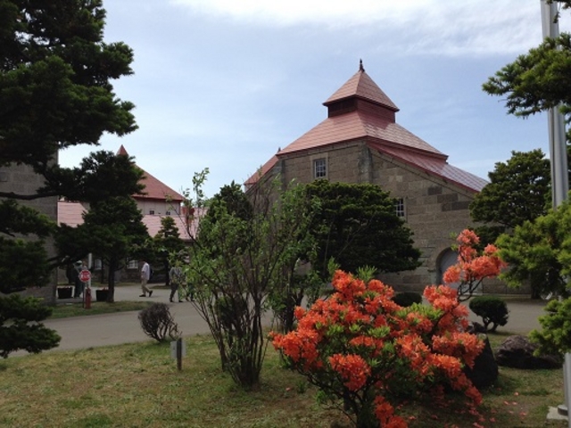 �I�����W�̂��̌������ɐԂ������A�f�G�ȎU�􂪊y���߂܂����B_�j�b�J�E���X�L�[�]�s������