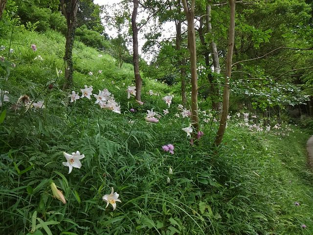 ~~ỸtbVGA݂܂̗̓eʐ^1