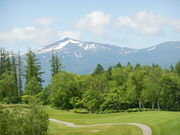 bird̃jZRStR[X̓eʐ^1