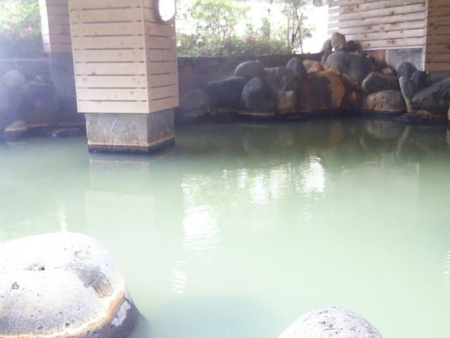 ߂Ă̗ΐF̓_zeEtVIߐ{