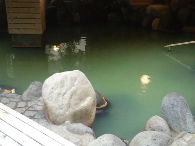 ߂Ă̗ΐF̓_zeEtVIߐ{