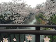 �T�g����̌܏���̍��̓��e�ʐ^1