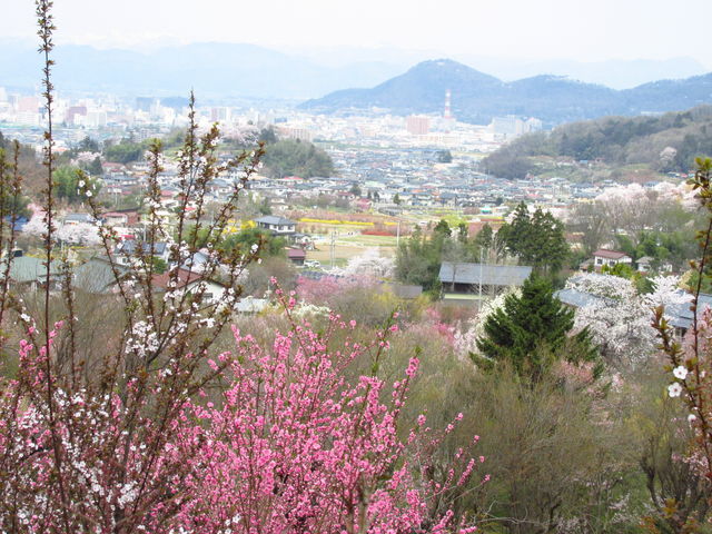 Ȑ͕̕sX]ł܂_э≷Ԃ̗