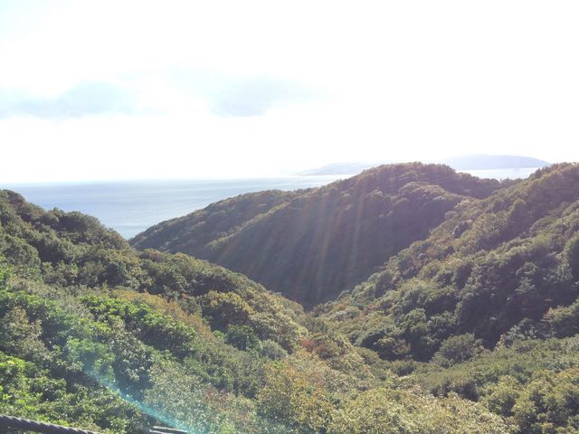 �d�����ƐےÍ��̍��������������ł�_�{���Y�R��V��