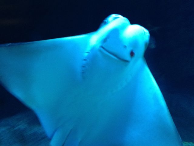 Ȃ񂩁A΂Ă݂ȊɌĂB_݂