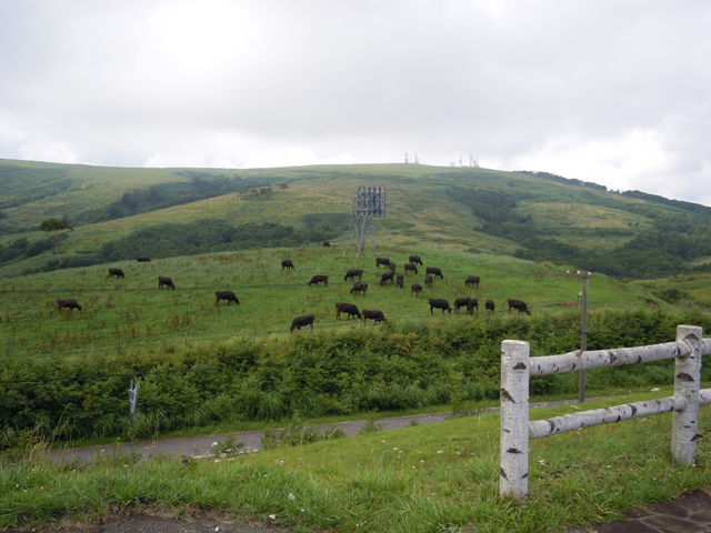 �q��̌i�F�B�ٍ��̕��͋C�I_�����Ђ������L�����v��