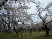 ݂قςρ􂳂̐tu̍̓eʐ^1