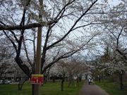 ݂قςρ􂳂̐tu̍̓eʐ^2