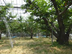 炳̉ʎ̗@c_ւ̓eʐ^2