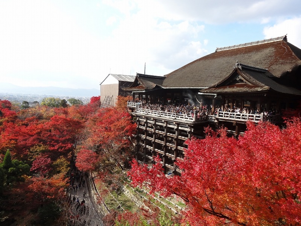 日本の歴史に触れ合える京都での秋旅行 神社やお寺など秋を感じることができるおすすめスポット選 じゃらんニュース