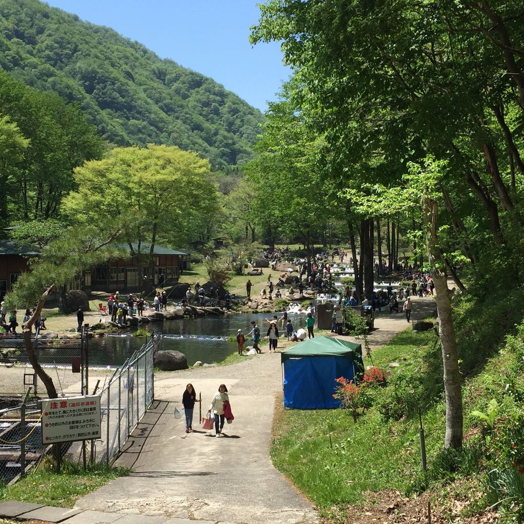 新東北笹谷渓流釣り
