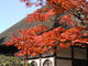 souさんの円覚寺（神奈川県鎌倉市）の投稿写真1