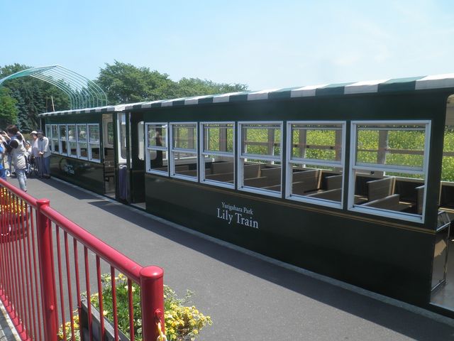 ���_�S����������