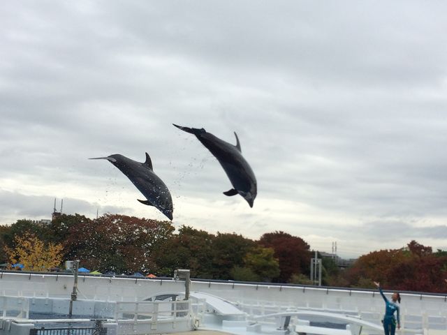 ���s������