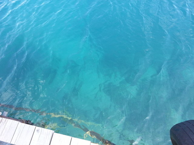 �V������݂�΂̐F���������B_�x┌�