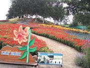 r[񂳂݂̂̋[p[N̓eʐ^1