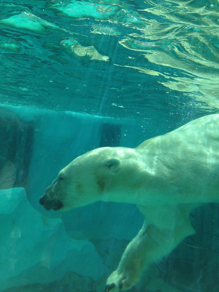 上野動物園