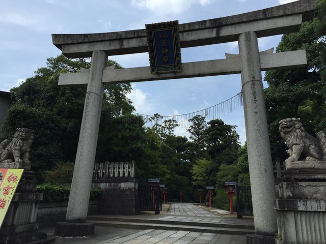 ����_���V�_�{