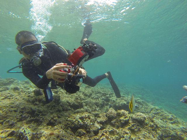 �C���X�g���N�^�[��������������Q�����J�����ŎB���Ă݂܂����B_Sea Monk