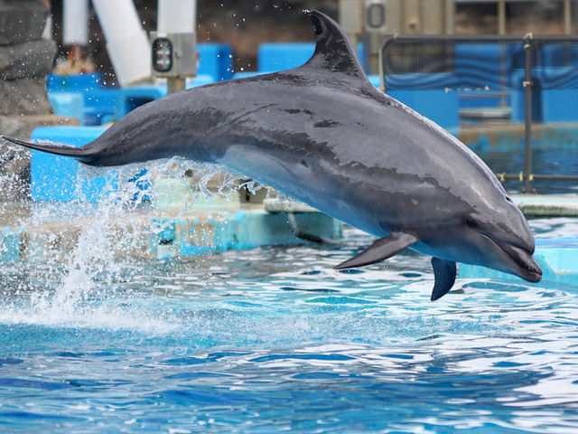 ���É��`������