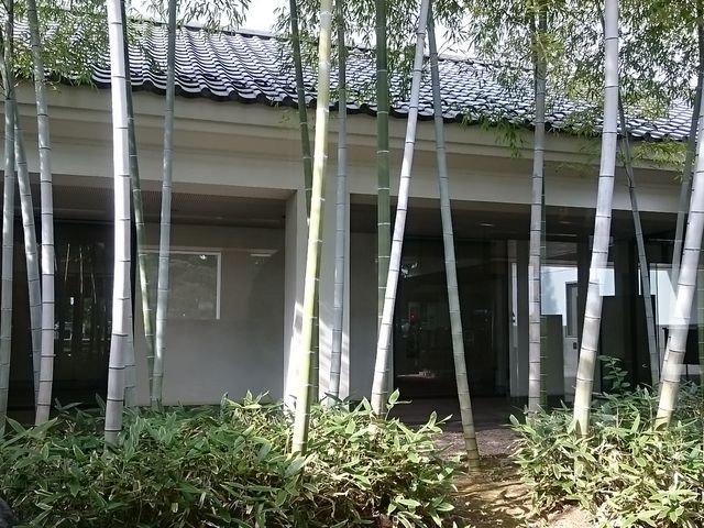 �G���g�����X_��z�s��������