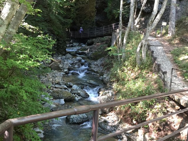 ������ӂ�ɒ����ƕ�����������ł��āA�ƂĂ����X�����ł�_�����̑�