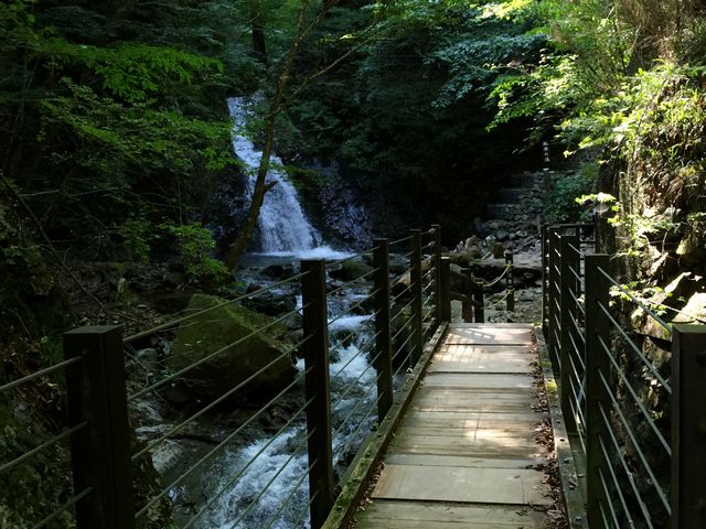 �����̑�̑O�ɂ��ʂ̑ꂪ����A����������ǂ��낪����܂�_�����̑�