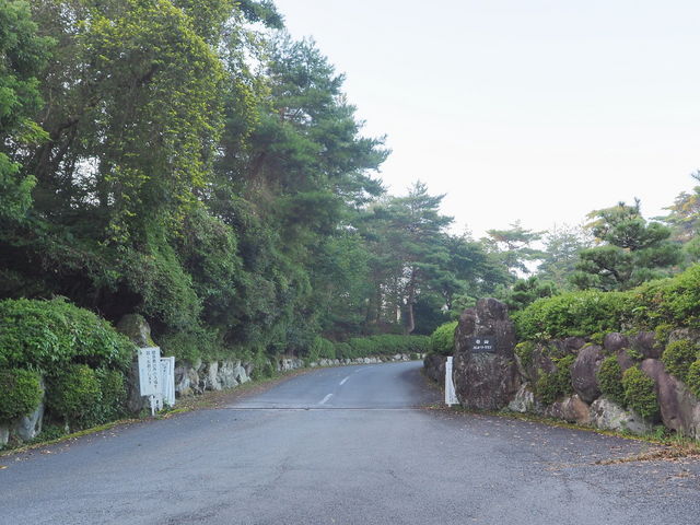 sklfh̋TJg[Nu̓eʐ^1