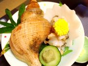 񂳂̘aH_CjO ݐ̓eʐ^3