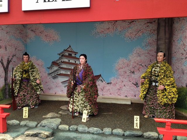 �����V���{