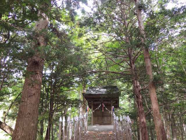 ������X�ь���