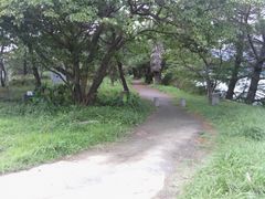 nkmr����̐C�΂ւ̓��e�ʐ^1