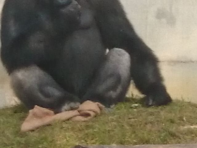 CPSVo[jIBêɐlł(^-^;_RA