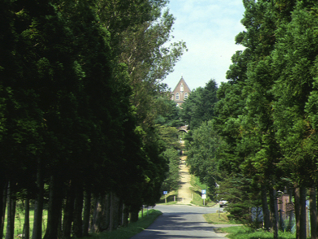 �g���s�X�g�C���@_�����V�g�[���̐����C���@�i�g���s�X�g�C���@�j