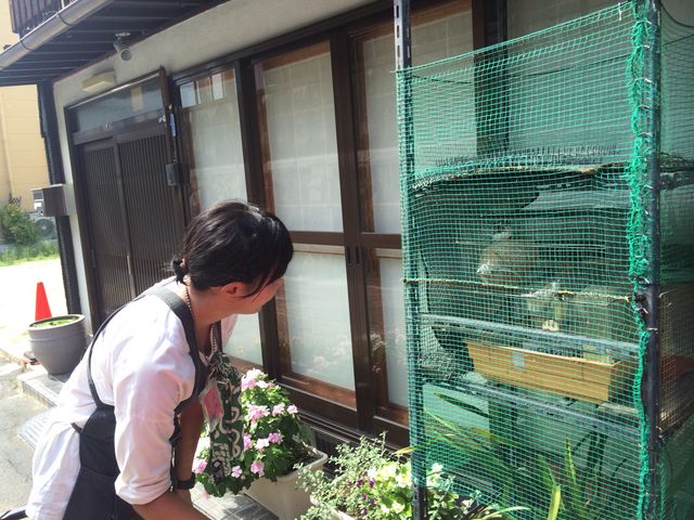 �n��̐l�Ԃ����łȂ��A������Ƃ����ǂ����Ă���l�q�ł����B_���т����q�~