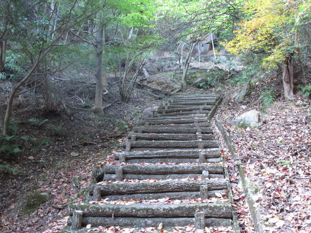 �V����_�������V����