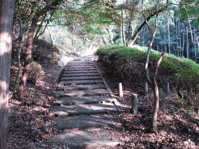 �V����_�������V����