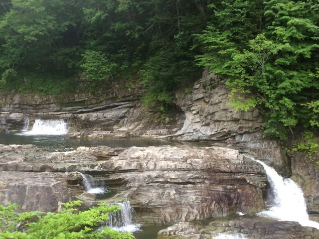 1�x�͌��Ă݂ā`��
_�O�i��